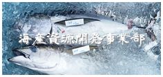 海産資源開発事業部